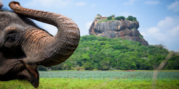 SRI LANKA - miłość, szmaragd, ząb Buddy i krokodyl :-)